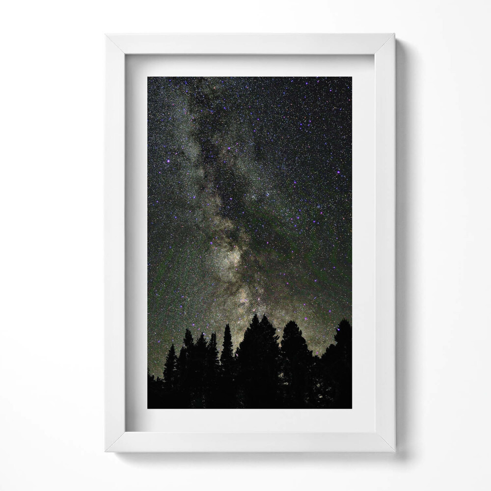 Tablou rama decorativ Cer înstelat peste pădure