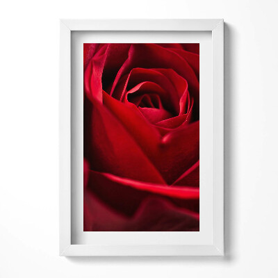 Tablou rama decorativ Prim-plan cu petale de trandafir roșii