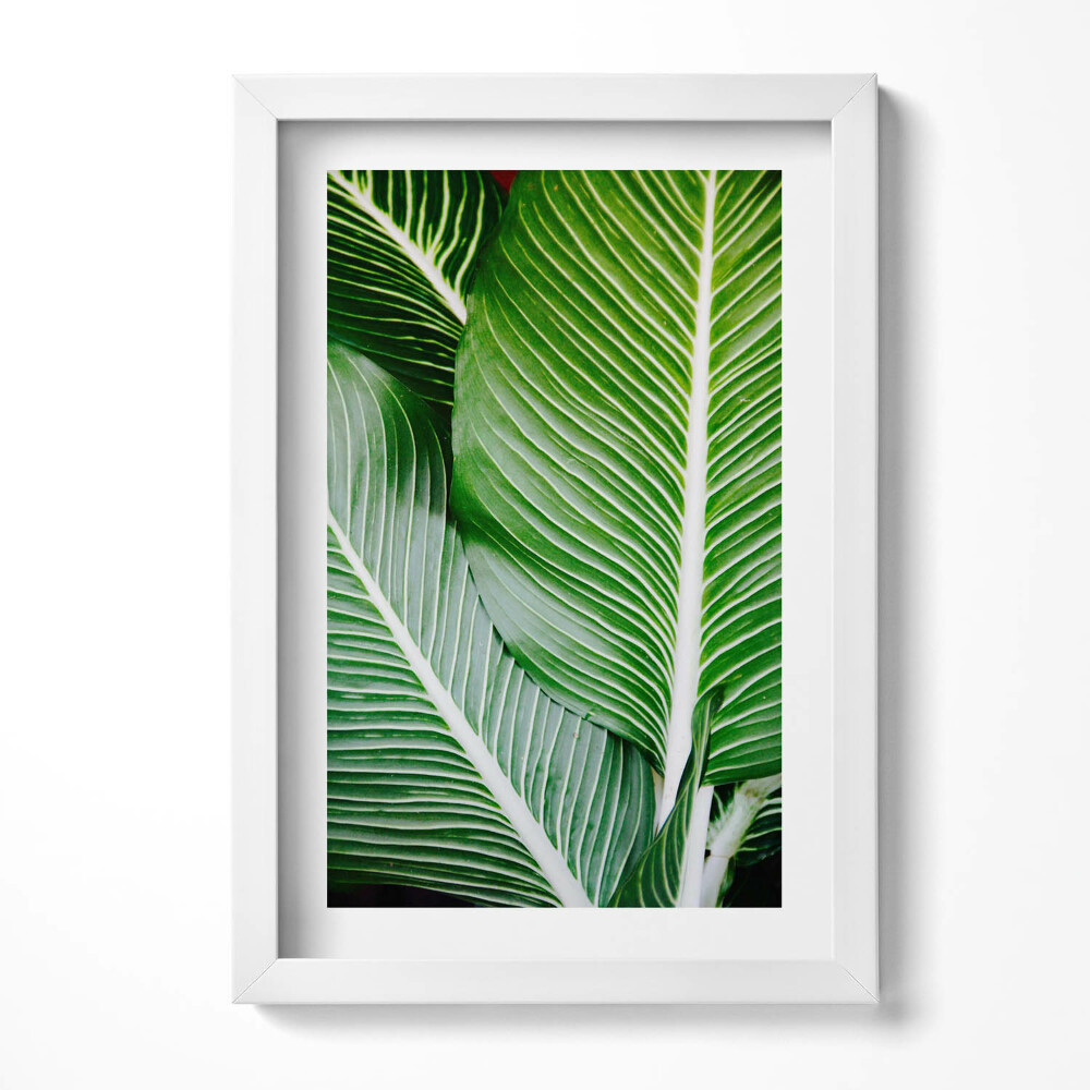 Tablou rama decorativ Frunze verzi exotice