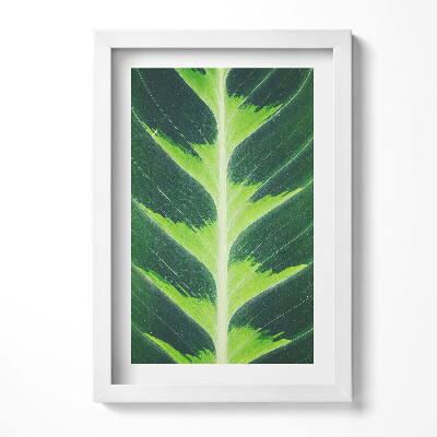 Tablou living cu rama decorativ Textura și nervurile frunzelor