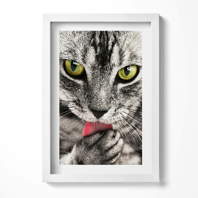 Tablou rama decorativ Ochi de pisică gri