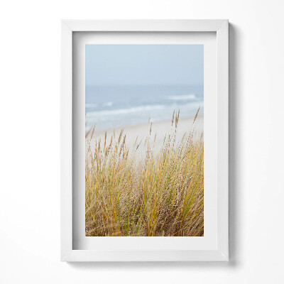 Tablou living cu rama decorativ Peisaj de plajă și iarbă de pe malul mării