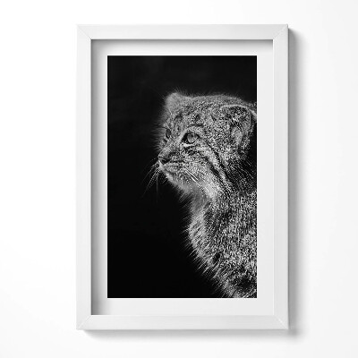 Tablou rama decorativ Lynx pisică sălbatică în alb și negru