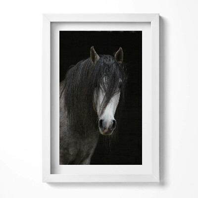 Tablou living cu rama decorativ Cap de cal gri