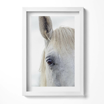 Tablou rama decorativ Cap de cal alb
