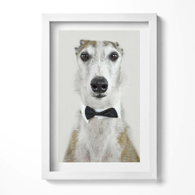 Tablou living cu rama decorativ Portretul unui câine cu papion