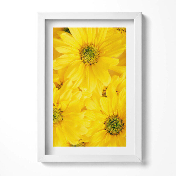 Tablou living cu rama decorativ Petale de flori
