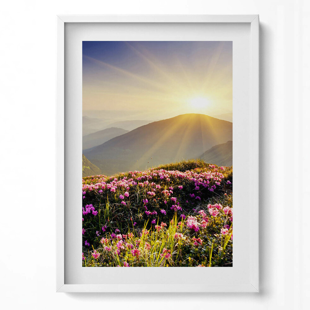 Tablou living cu rama modern Munți și o pajiște cu flori