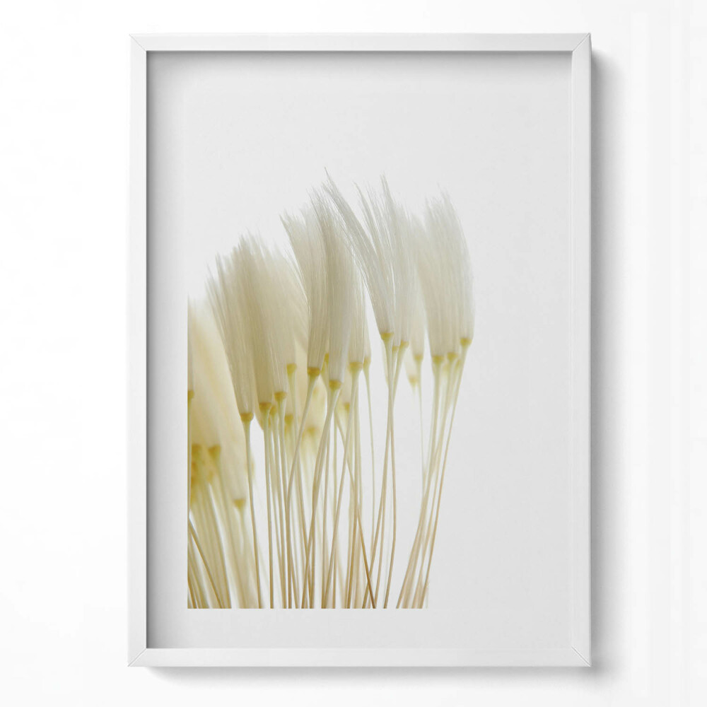 Tablou living cu rama modern Ierburi albe delicate