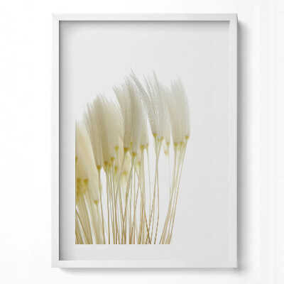 Tablou living cu rama modern Ierburi albe delicate