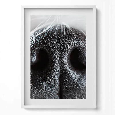 Tablou living cu rama modern Prim-plan al nasului unui animal