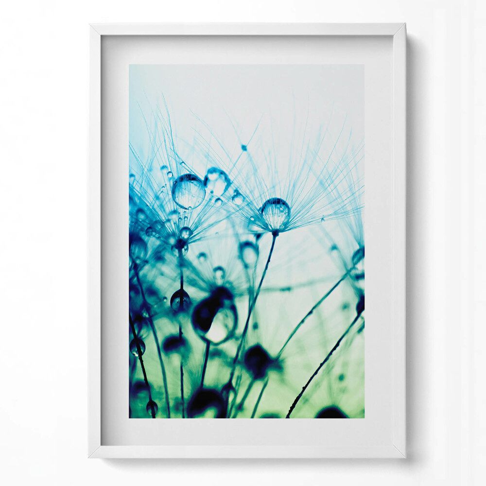 Tablou rama modern Picături de rouă pe păpădii