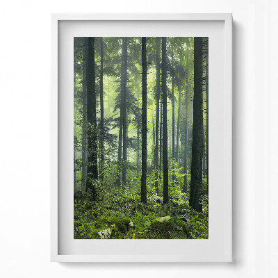 Tablou rama modern Peisaj de copaci și vegetație forestieră