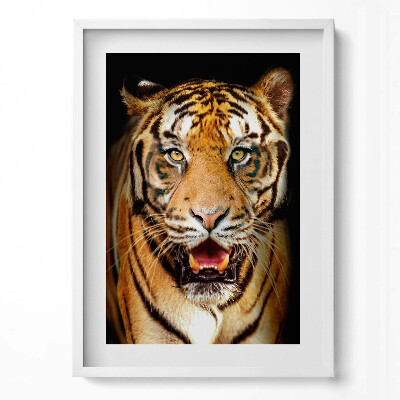 Tablou living cu rama modern O pisică tigru sălbatică distinctivă