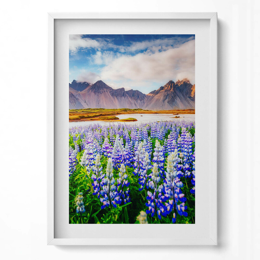 Tablou living cu rama modern Flori magice de lupin