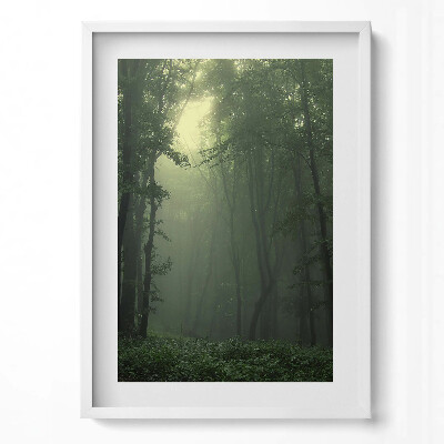 Tablou living cu rama modern Pădurea încețoșată dimineața