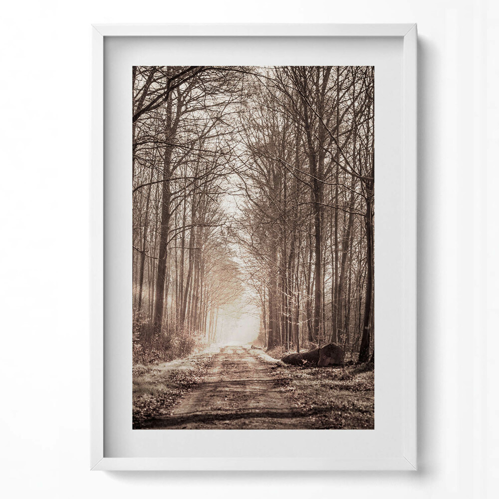 Tablou rama modern Cale de pădure în tonuri sepia