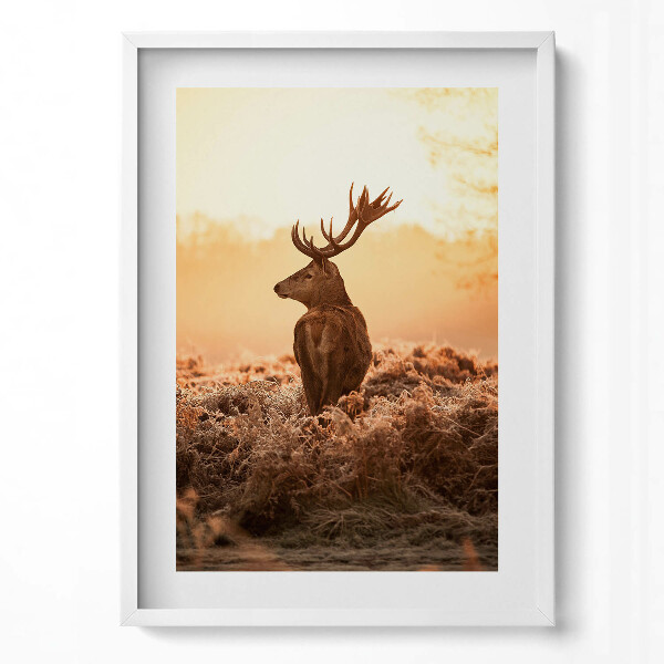 Tablou living cu rama modern Cerb la răsărit