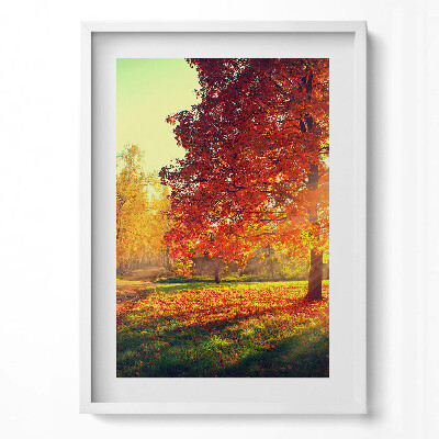Tablou living cu rama modern Parc de toamnă