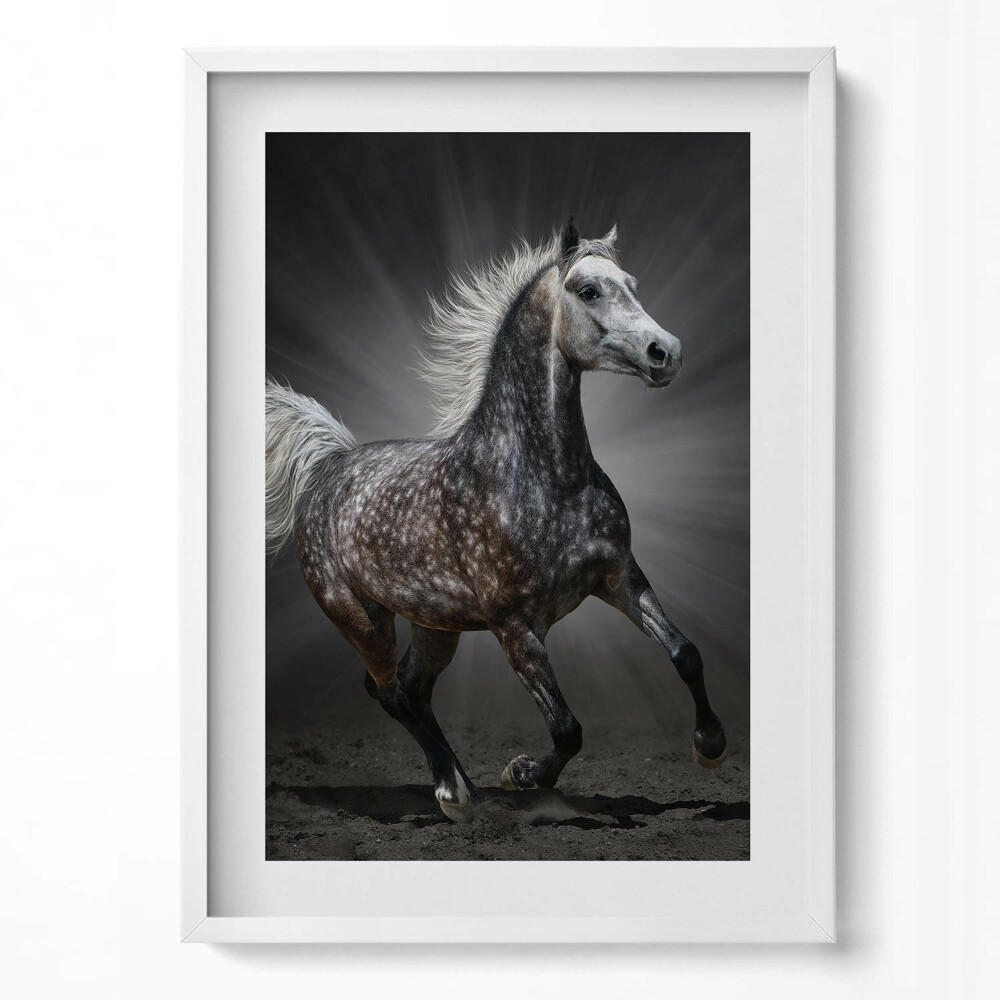 Tablou rama modern Calul galopant