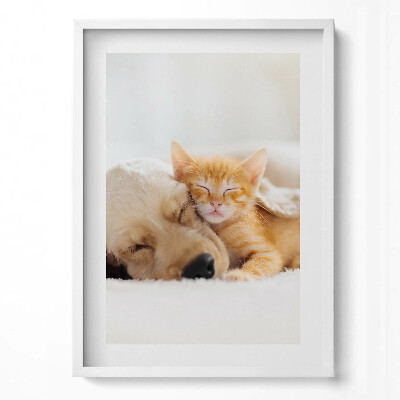 Tablou living cu rama modern Animale care dorm, pisică și câine