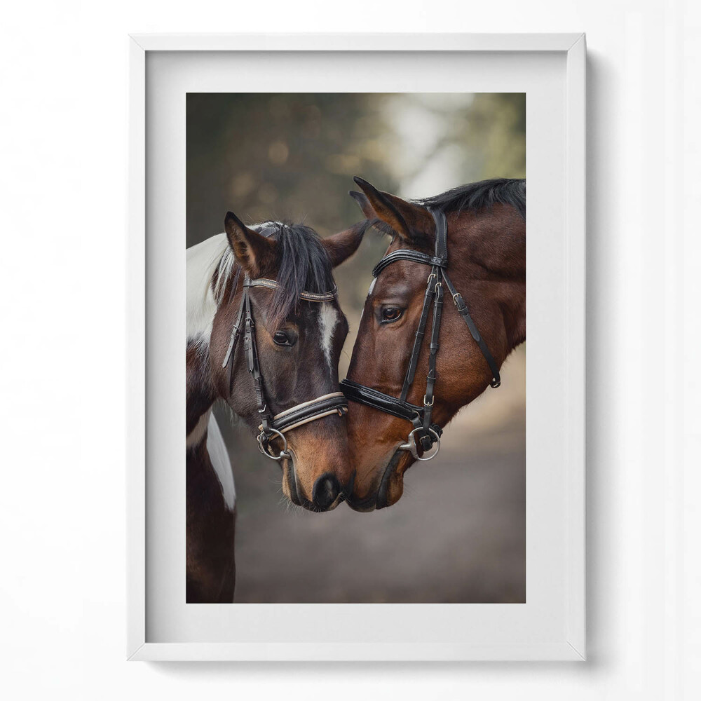 Tablou rama modern Portret de cai în pădure