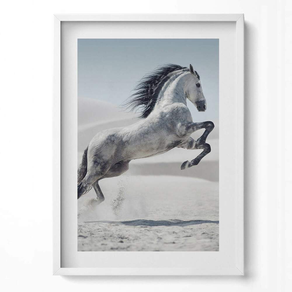 Tablou living cu rama modern Cal alb galopant