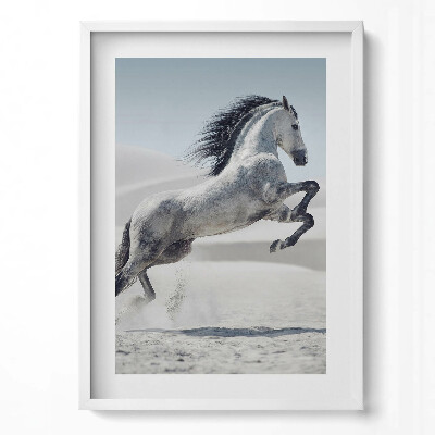 Tablou living cu rama modern Cal alb galopant