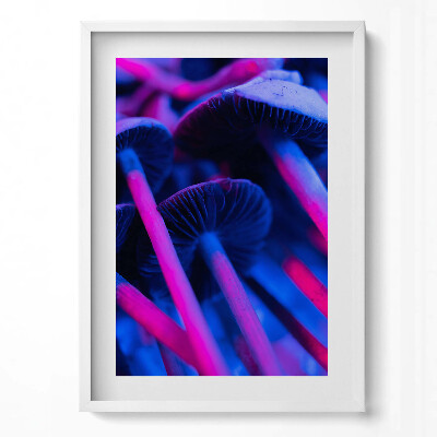 Tablou living cu rama modern Ciuperci magice colorate