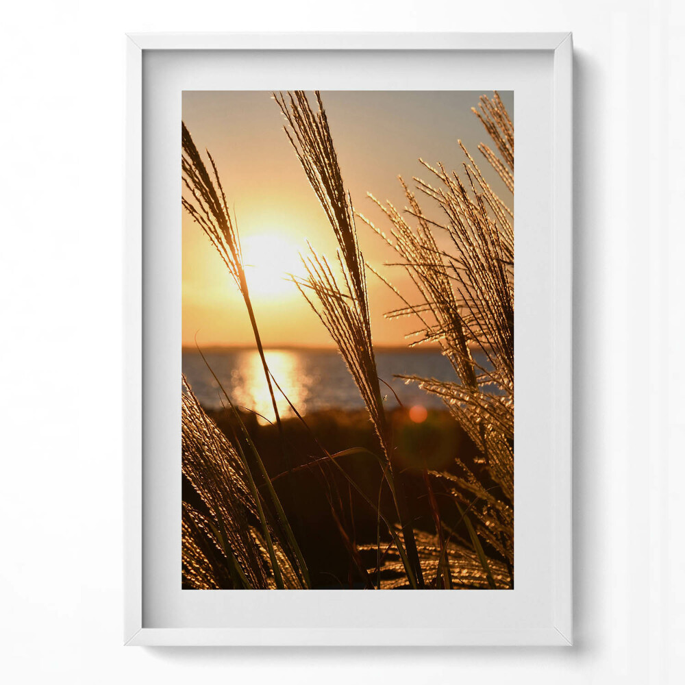 Tablou living cu rama modern Grâul în ora de aur