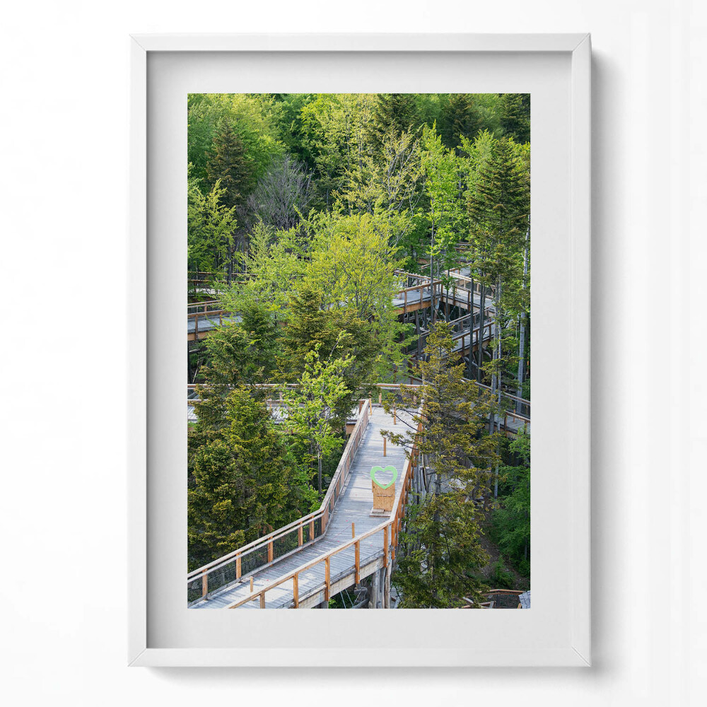 Tablou living cu rama modern Calea în Krynica Zdrój