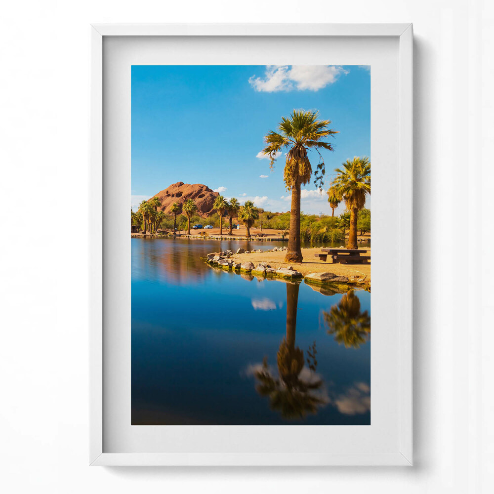 Tablou rama modern Peisajul parcului Papago