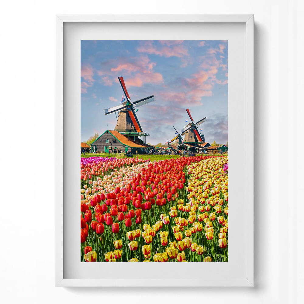 Tablou living cu rama modern Peisaj cu lalele Olanda