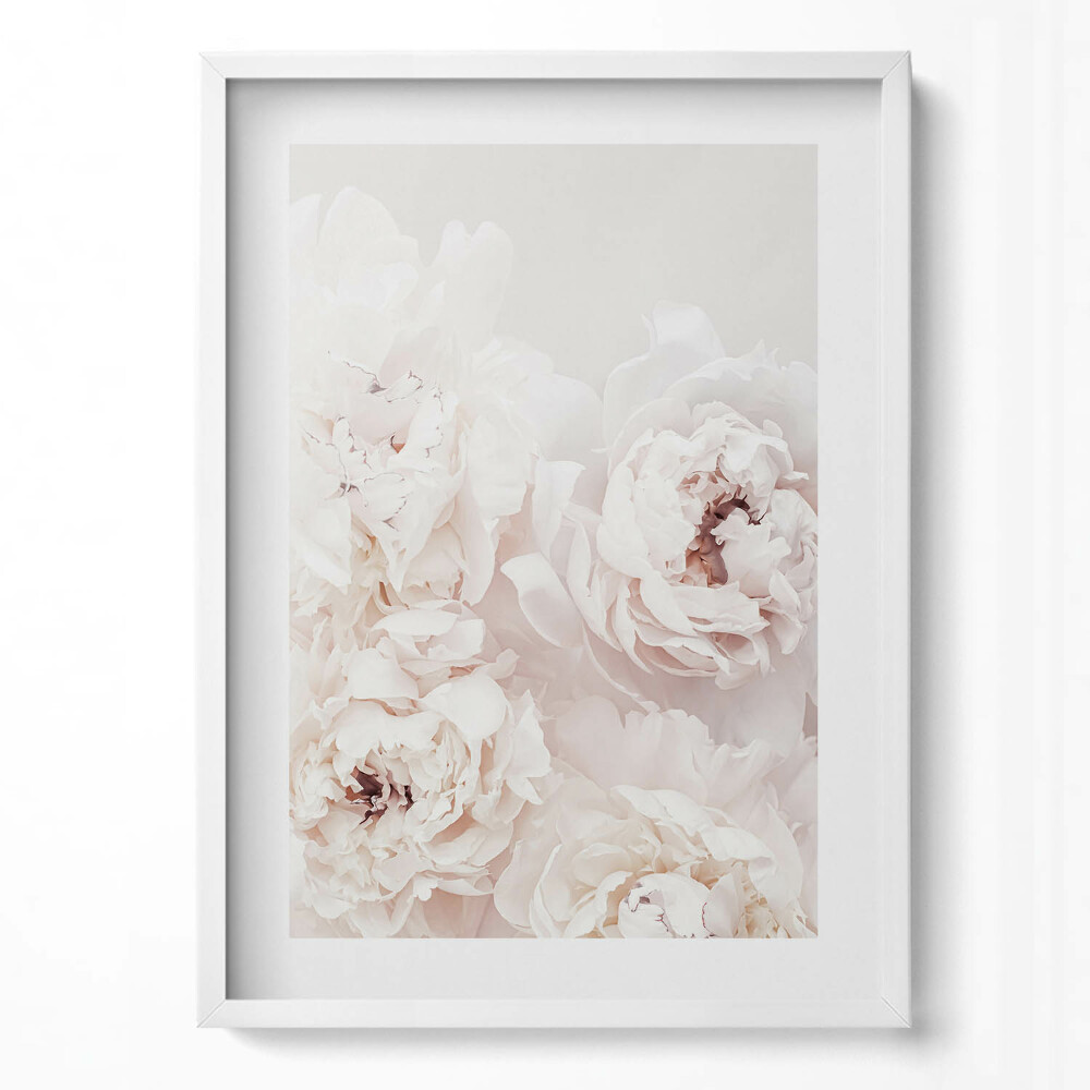 Tablou rama modern Flori de bujor