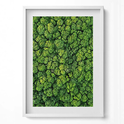 Tablou rama modern Pădurea din vedere