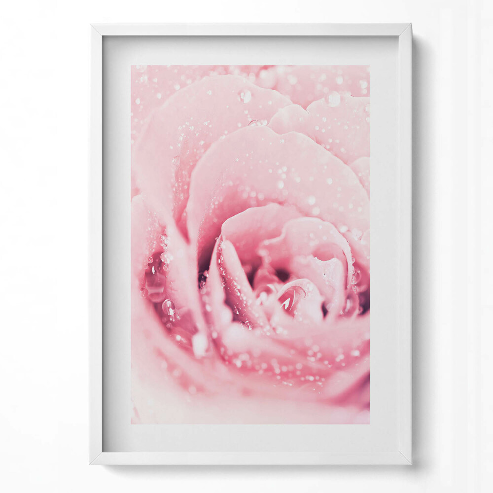 Tablou rama modern Floare roz delicată