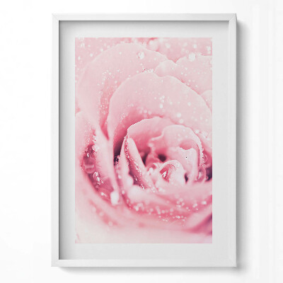 Tablou rama modern Floare roz delicată