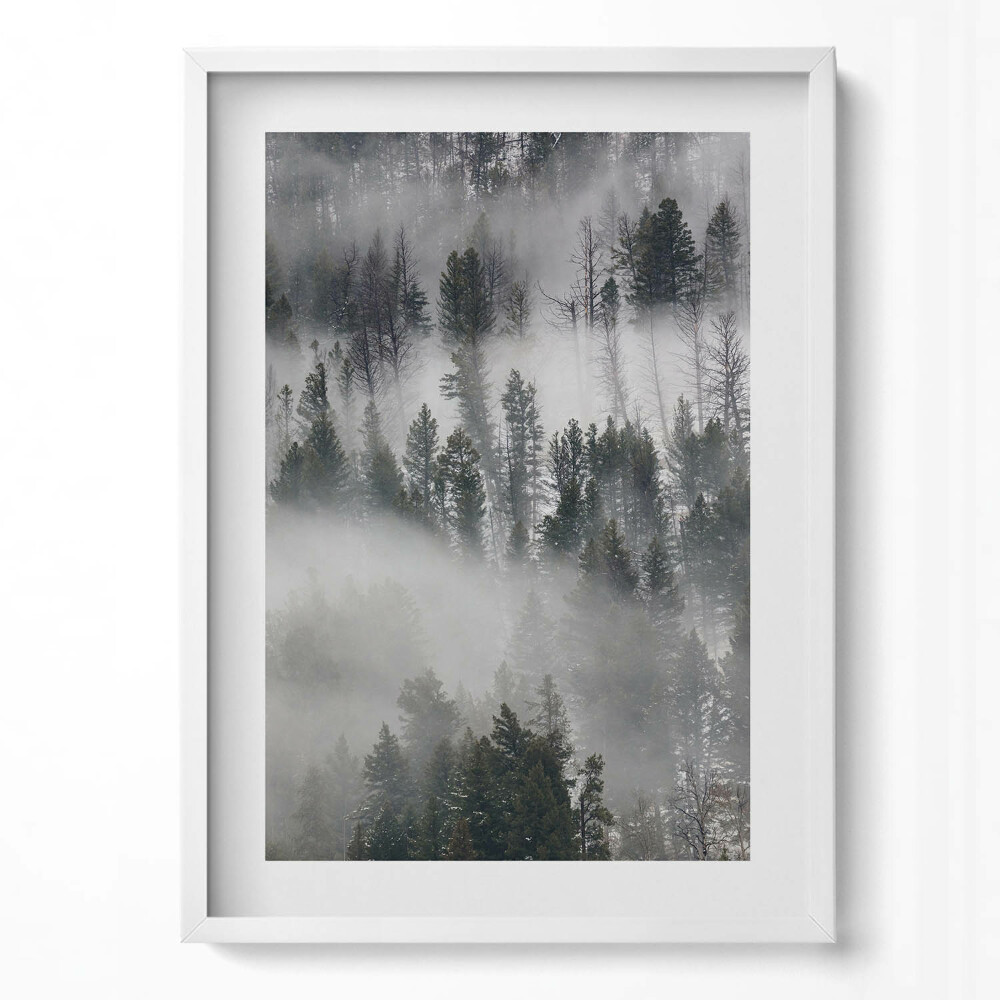 Tablou living cu rama modern Peisaj de pădure cețos