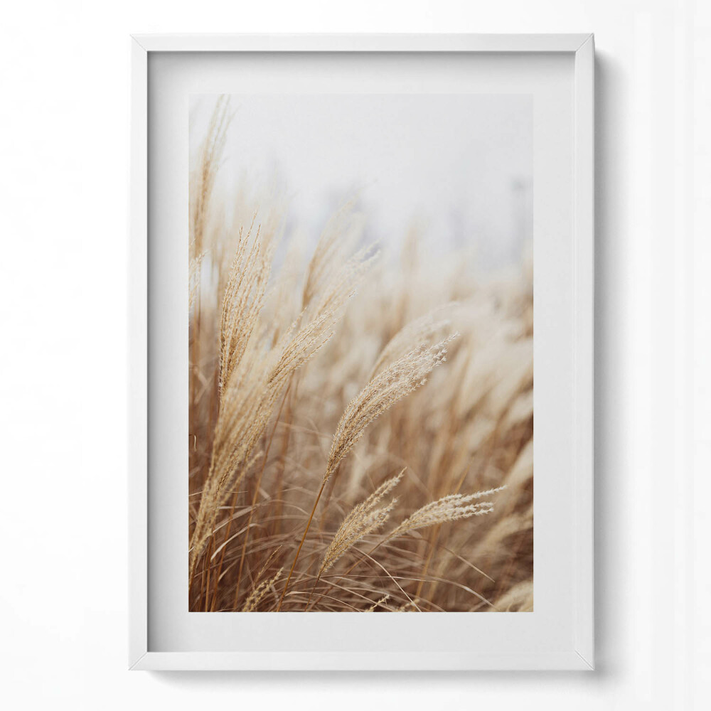 Tablou living cu rama modern Cereale cu iarbă boho Nature