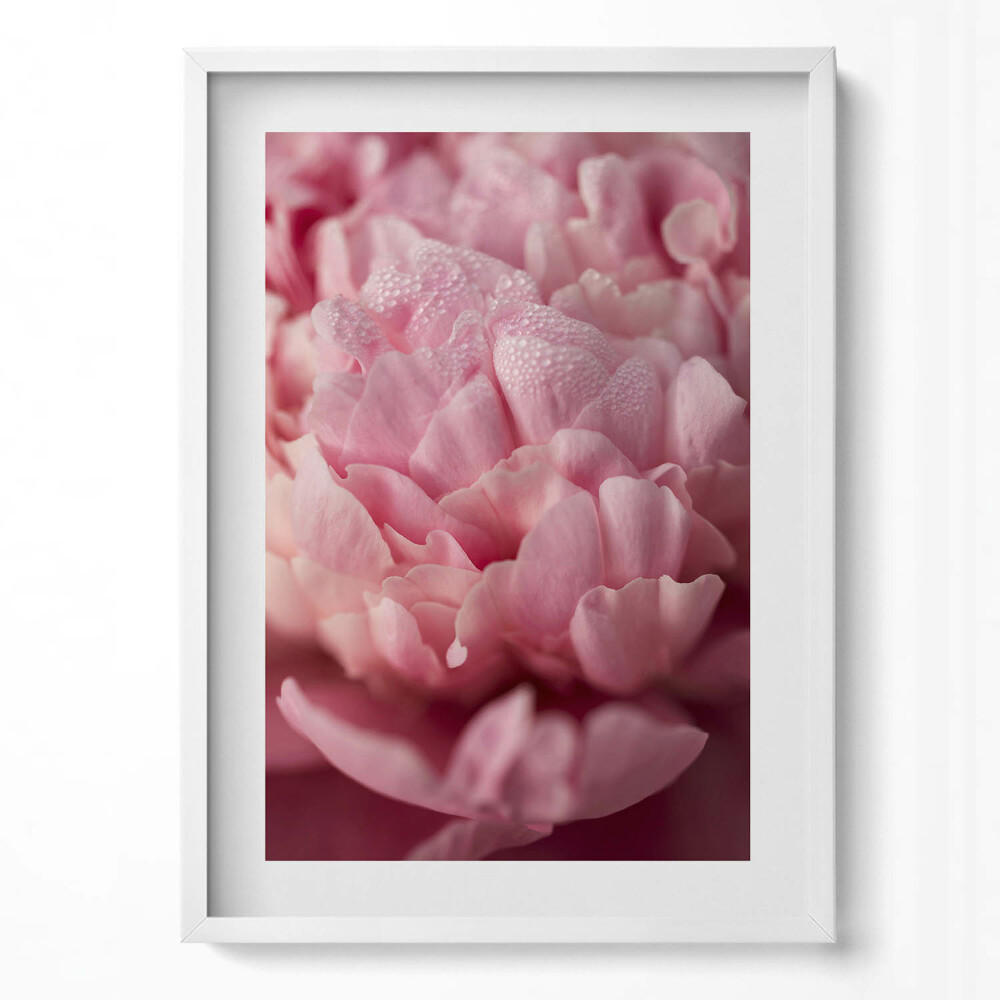 Tablou rama modern Petale delicate de flori