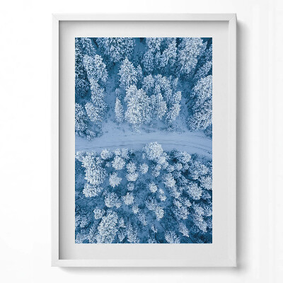 Tablou living cu rama modern Pădurea din vedere dinspre o pasăre, cu dronă