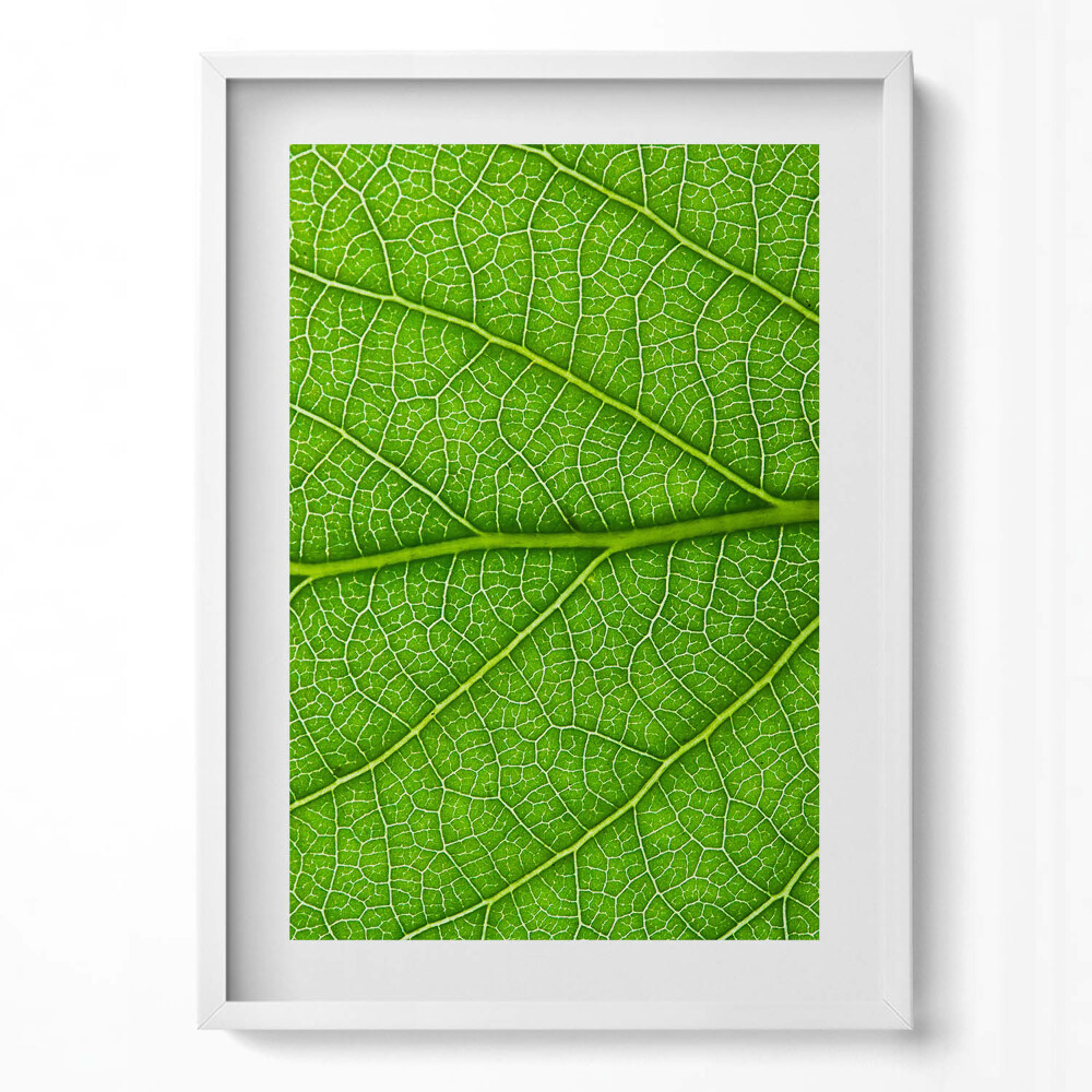 Tablou rama modern Venele frunzelor verzi