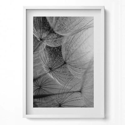 Tablou living cu rama modern Prim-plan alb-negru al unei păpădii