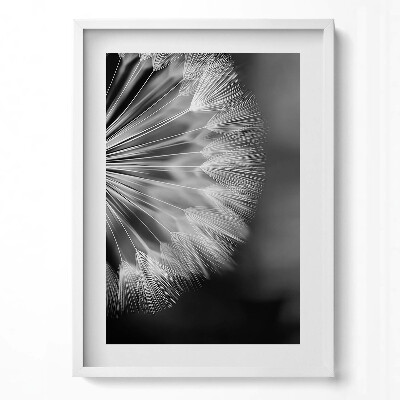 Tablou rama modern Prim-plan alb-negru al unei păpădii