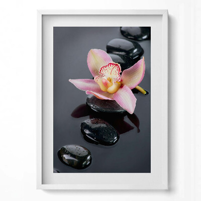Tablou living cu rama modern Flori pe pietre în apă