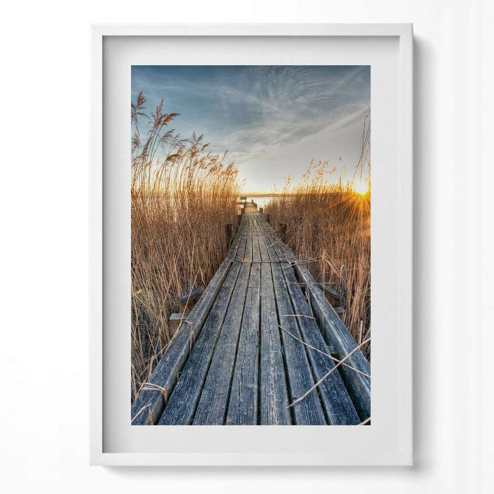 Tablou living cu rama modern Un drum de lemn printre copaci