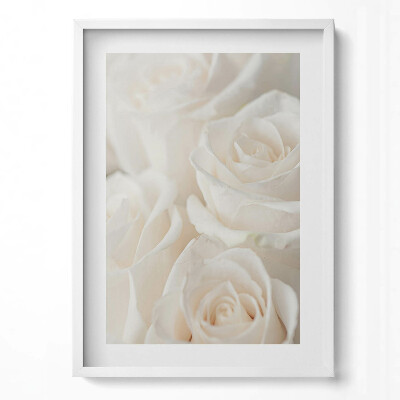 Tablou living cu rama modern Alb delicat diverse