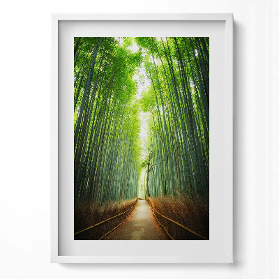 Tablou living cu rama modern Pădurea de bambus Arashiyama Kyoto Japonia