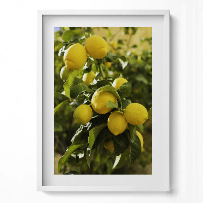 Tablou living cu rama modern Lămâi coapte siciliene