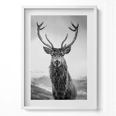 Tablou living cu rama modern Cerb alb-negru